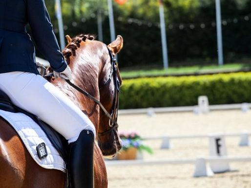 Circuit Départemental Dressage - Qualif EQM
