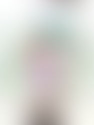 Window Cleaning Service in Northampton, professional window cleaning products Northampton, window cleaning supplies and tools, Unger Ninja window cleaning kit, best detergents for window cleaning, traditional window cleaning equipment Northampton, professional squeegees and applicators for sale, window washing solutions, Ettore window cleaning tools, residential window cleaning supplies.