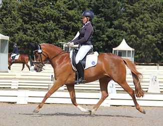 FL Rocksette 2 comp.JPG