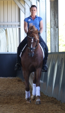 Training Jan 2015