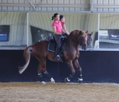 Training Feb 2015
