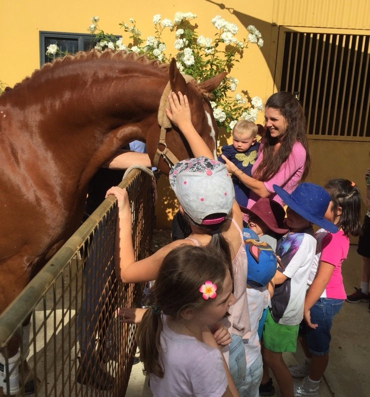 Baldivis Veterinary Clinic Open Day