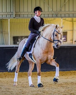 Dynamik-1585 (2) c.jpg