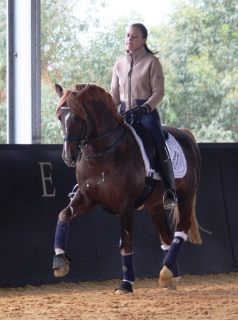 Training at home, Sept 2013