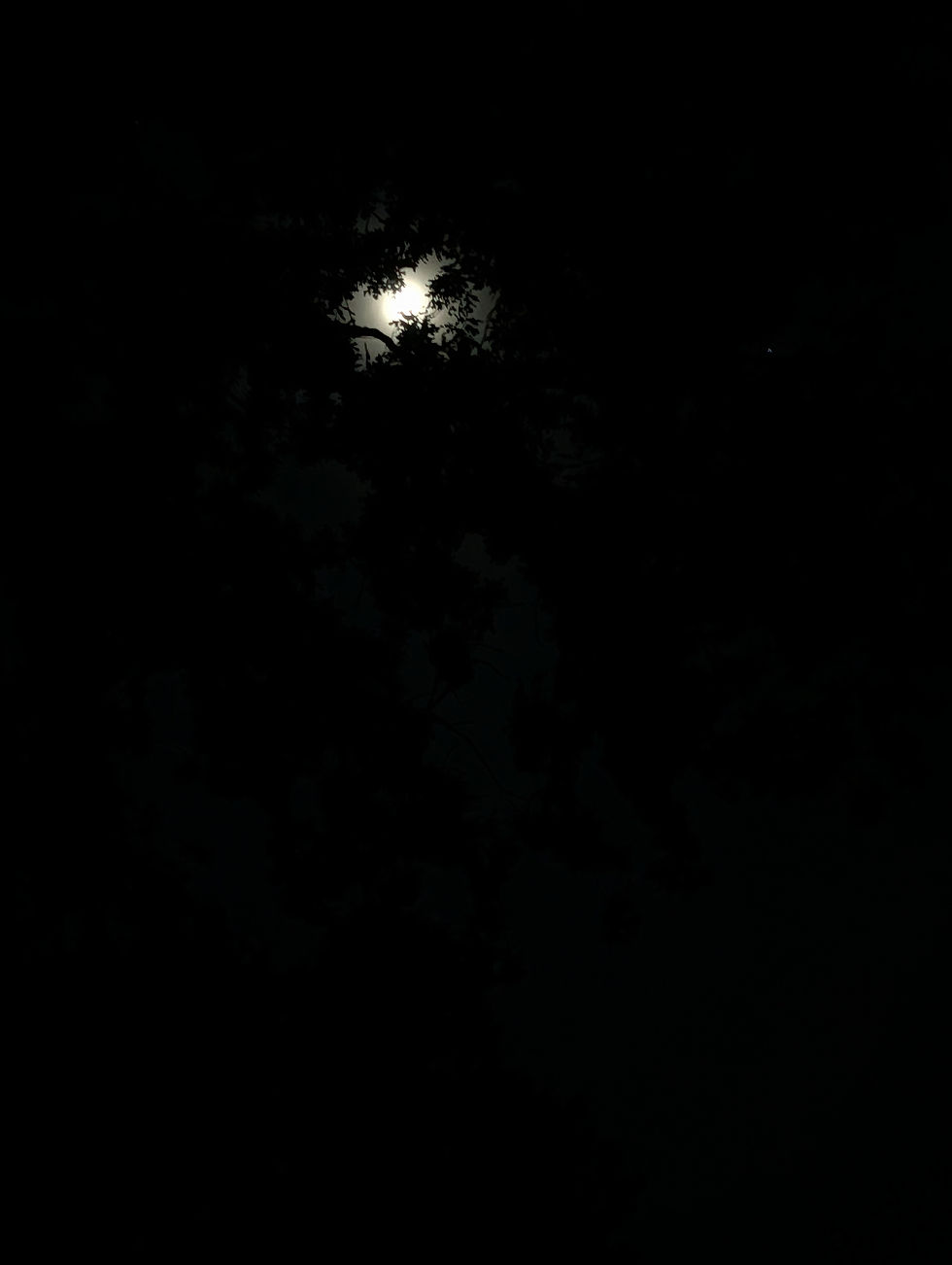PXL_20260524_024440962