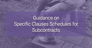 Guidance on Specific Clauses Schedules for TradeBox Subcontracts