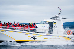 Boat Tour 4