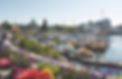 Inner Harbour with Flowers and Boats (1).jpg