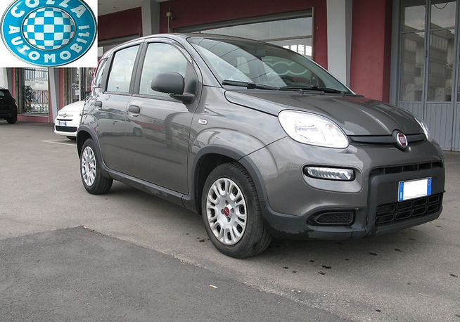 Fiat Panda 1.0 FireFly S&S Hybrid_usata_in_vendita_Vicenza