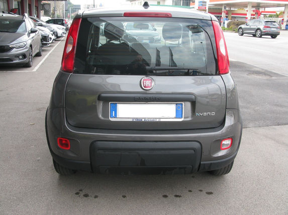Scopri un'occasione autoFiat Panda Panda 1.0 FireFly S&S Hybridda Cozza Automobili Montecchio Maggiore – Vicenza