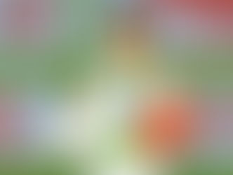 學生蘇冷羽在世界青少年武術錦標賽代表香港獲獎