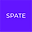 www.spate.nyc favicon