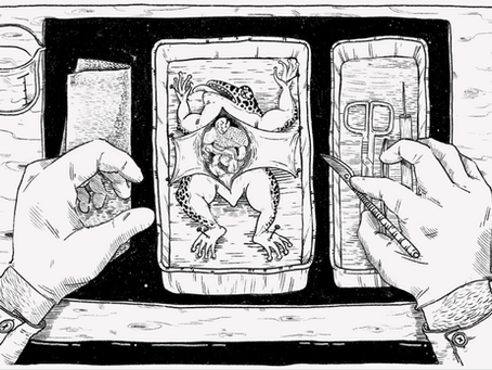 In Search of a Gut Science