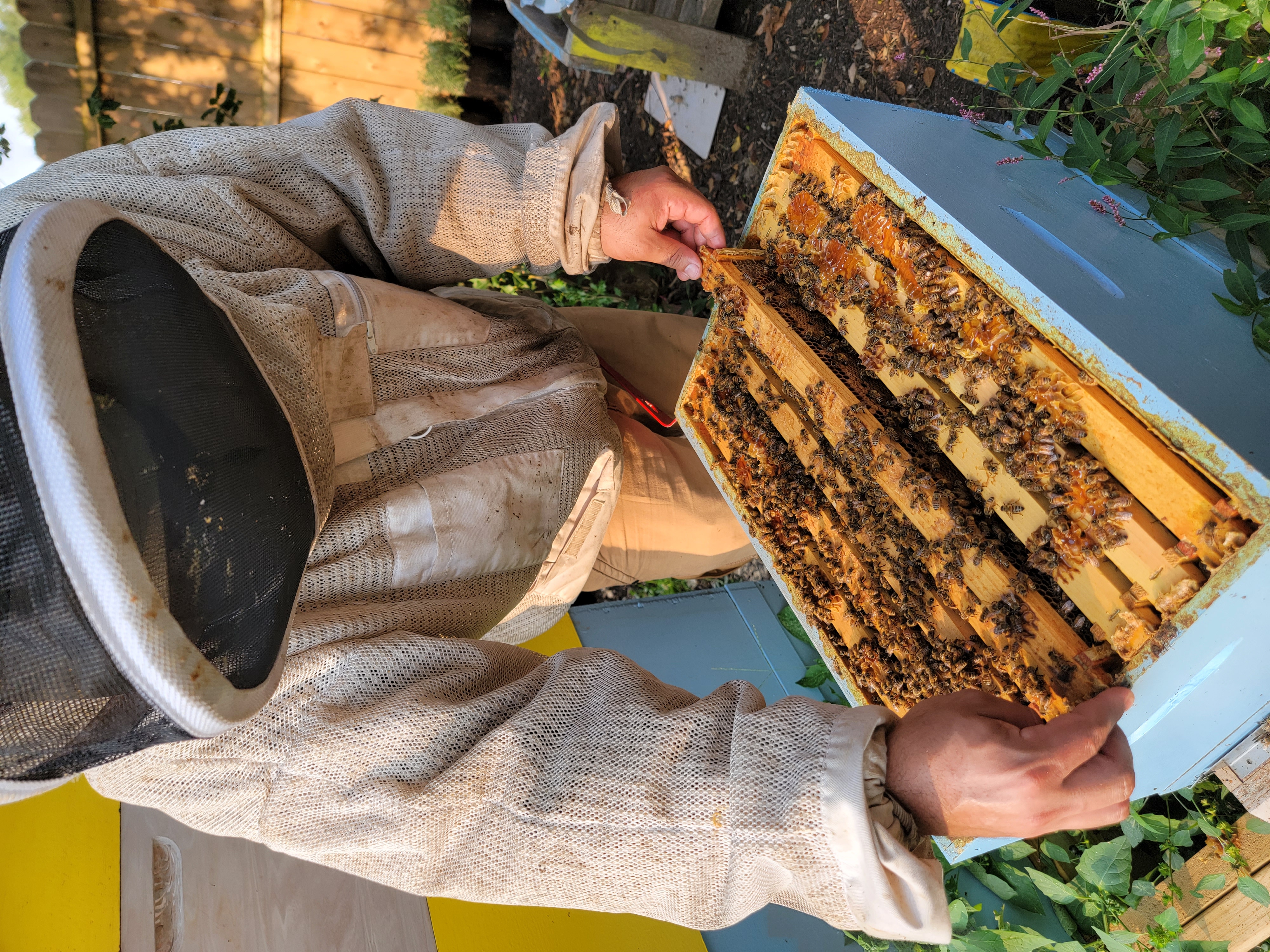 Writer: Swazey Farms