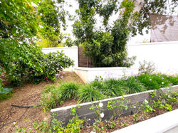 Slope Backyard Garden