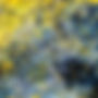 Land of Confusion - For Social.jpg