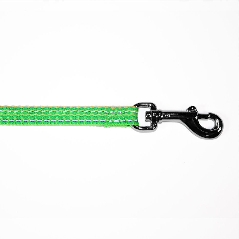 Thumbnail: Haight Ashberry Reflective Dog Leash - Small