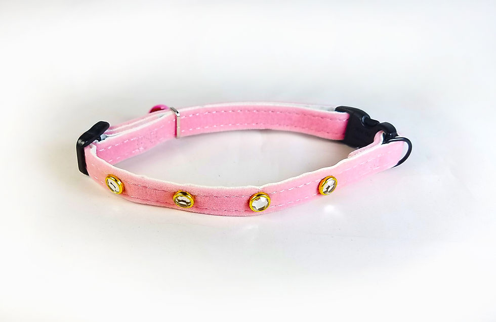 Thumbnail: Buddy Cat Rhinestone Breakaway Cat Collar