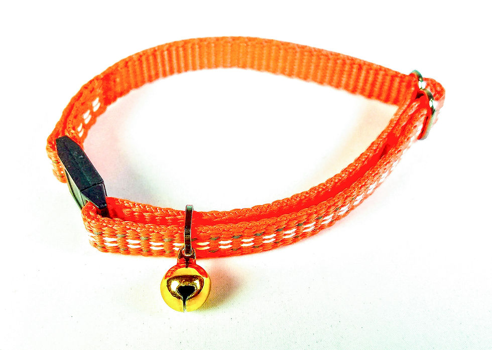 Thumbnail: BellaLuna Glow in the Dark Cat Collars