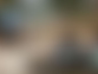 When Learning Came to the Street: A Story of Awareness, Art, and Action in Neemgaon, Chouki, and Pidora