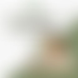 The Top 10 Attributes Women Want In The Ideal Partner: RVD