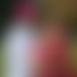 Successful Matchmaking Of Punjabi Bride-Groom In Delhi: RVD