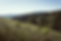 domainedesmathouans-67.png
