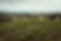domainedesmathouans-116.png