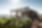 vendanges.mathouans-38.png