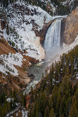 The Grand Canyon of the Yellowstone