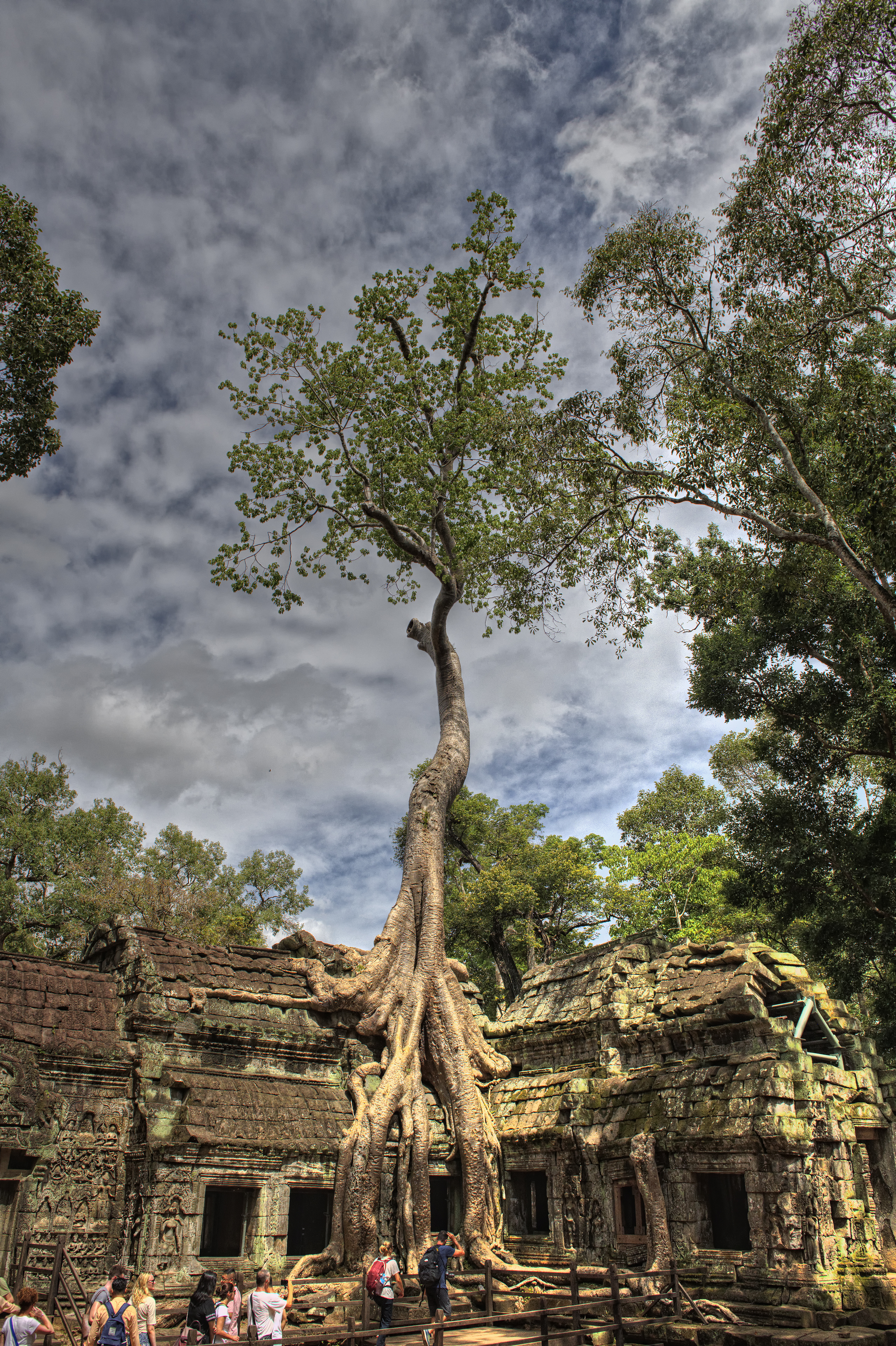 Tomb Raider or Ta Prohm Temple