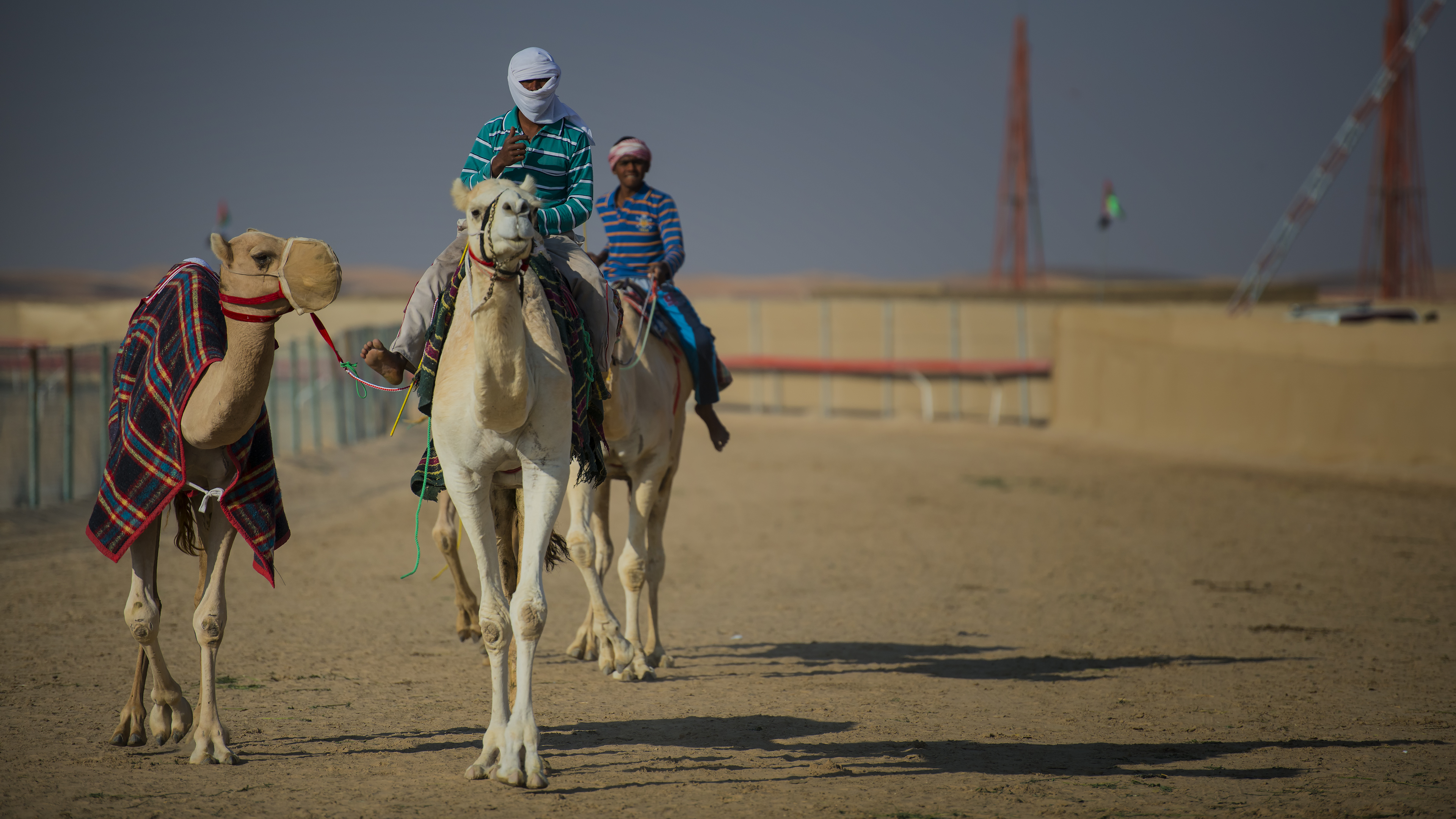 Al Dhafra Festival Camel Race