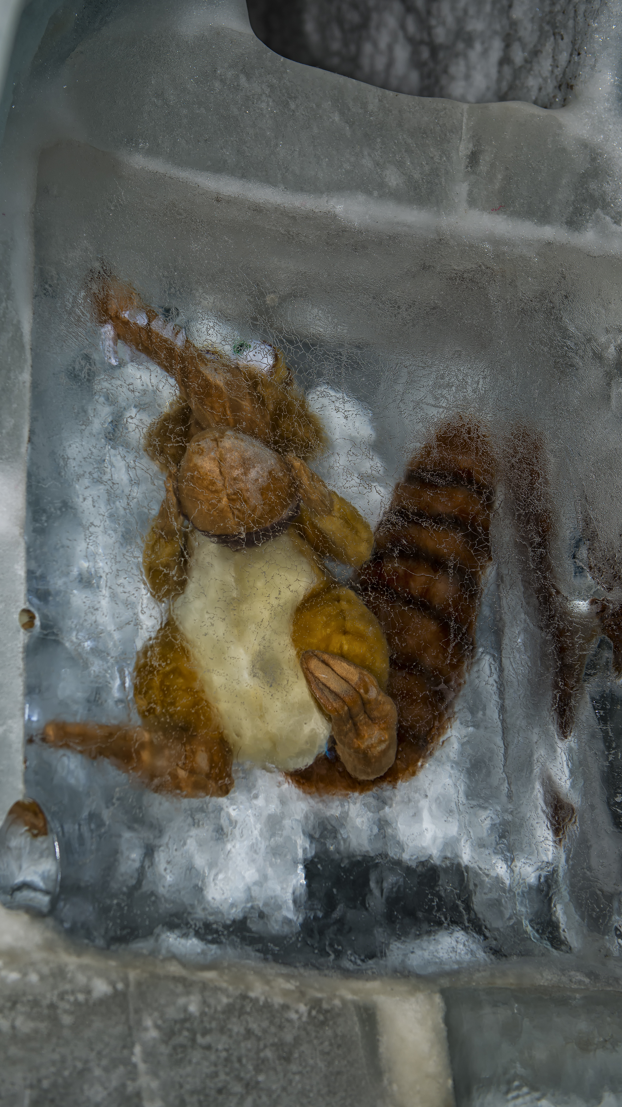Ice Palace with Scrat