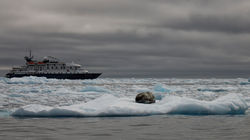 Coming up on a Leopard Seal on the way back to the Hebridean Sky