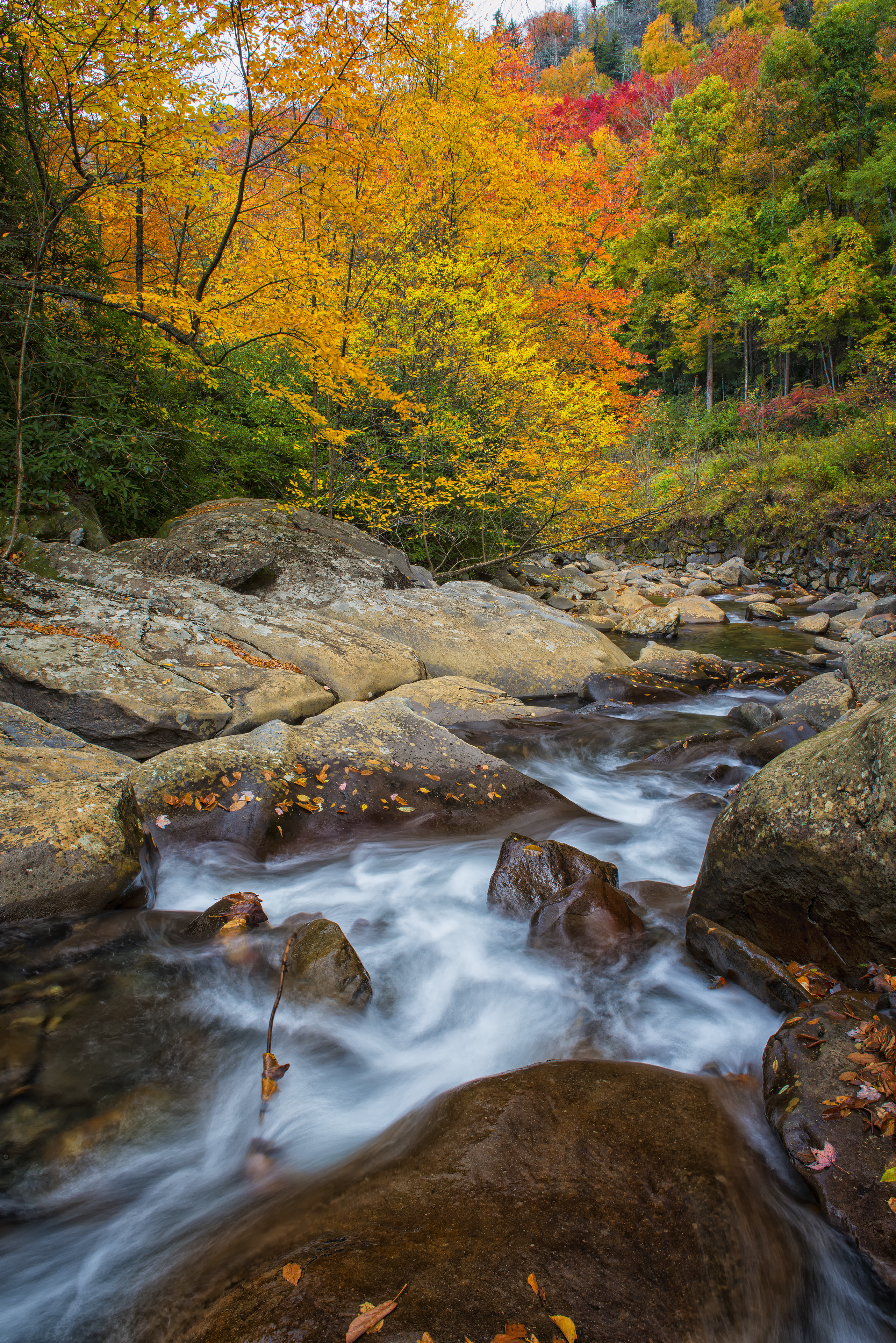 Smoky Mountain High