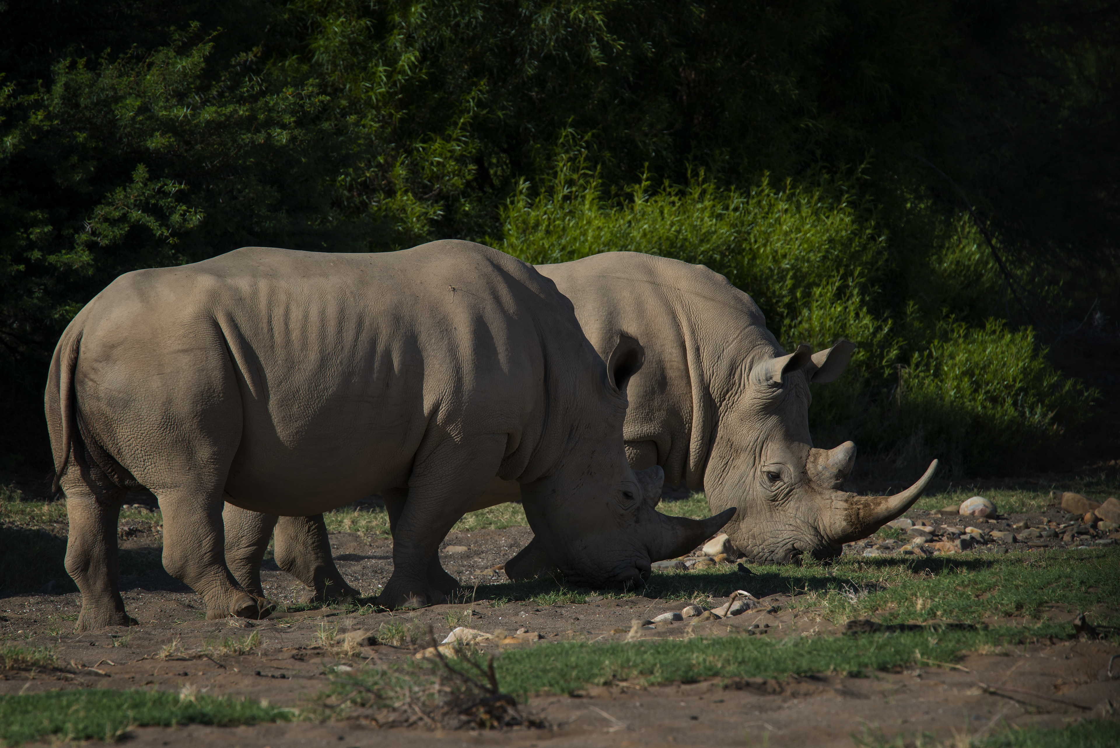 Sanbona Wildlife Reserve