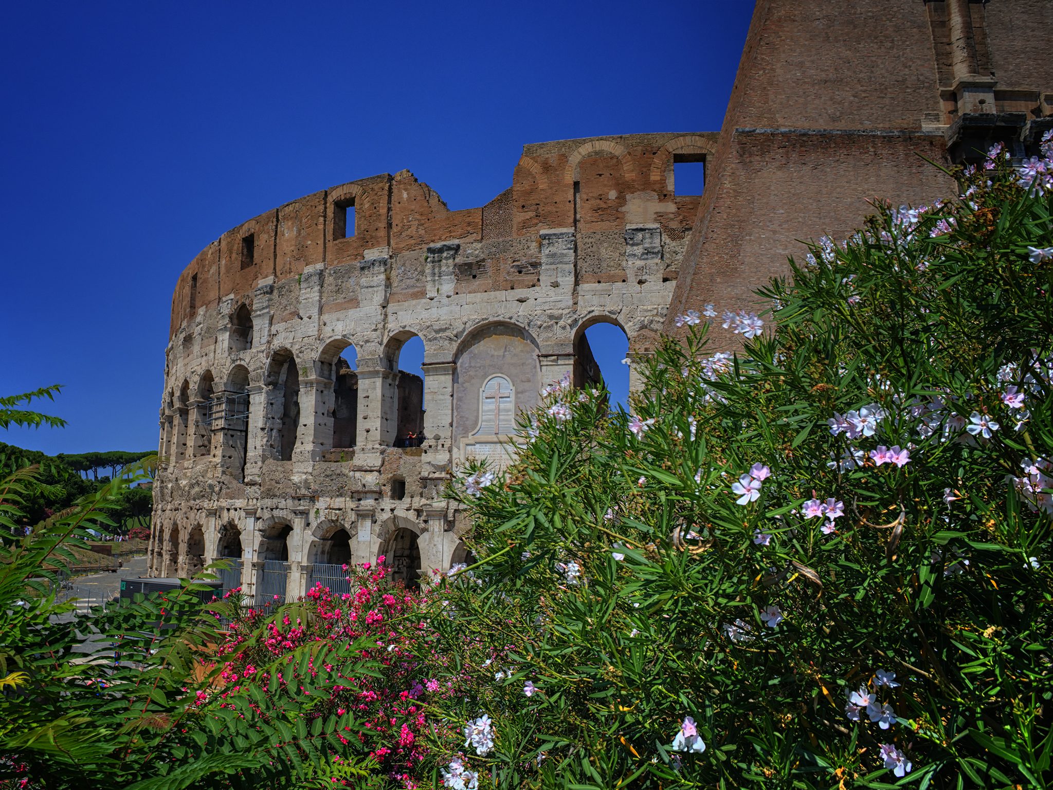 Flavian Amphitheatre