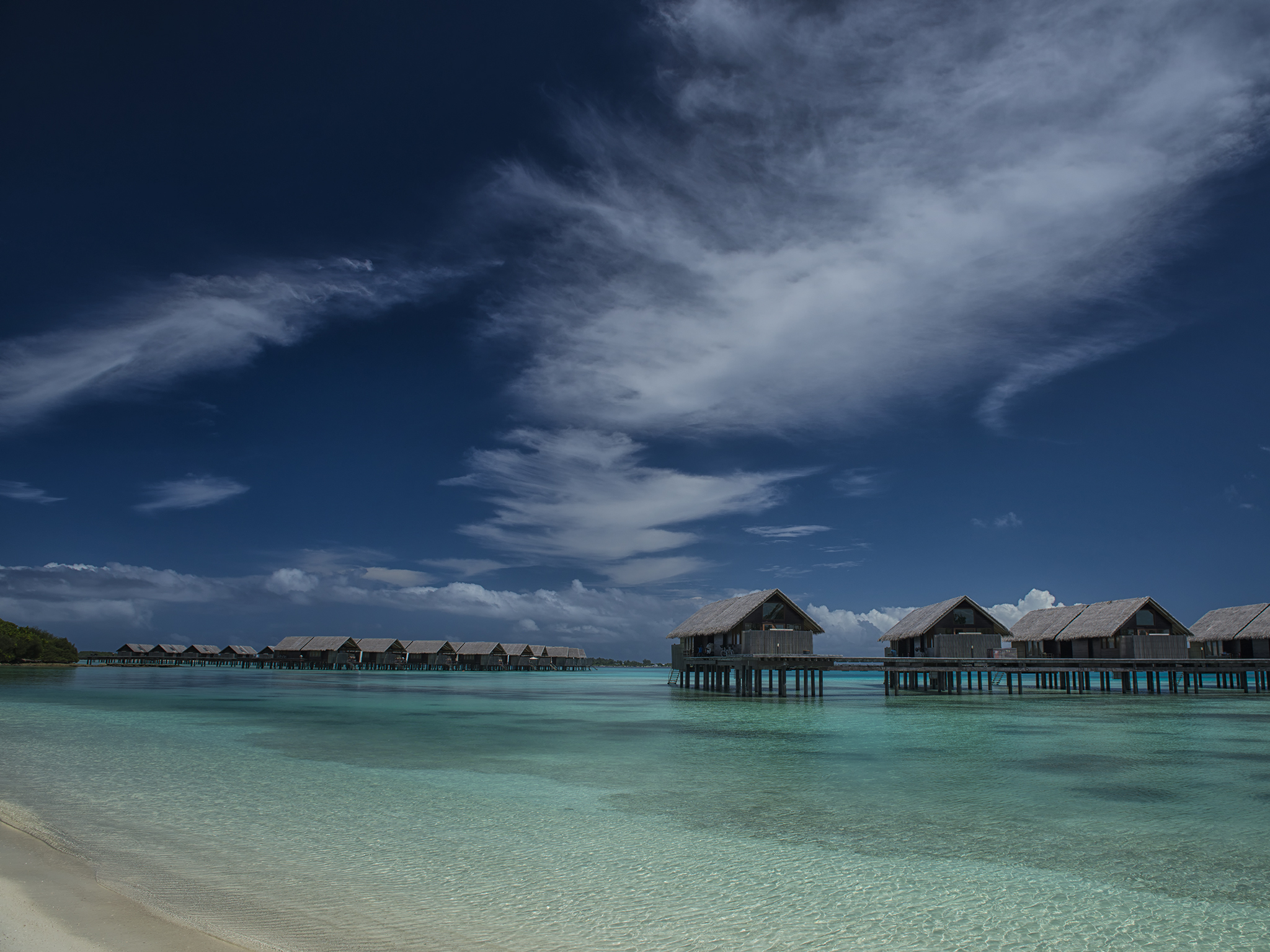Paradise