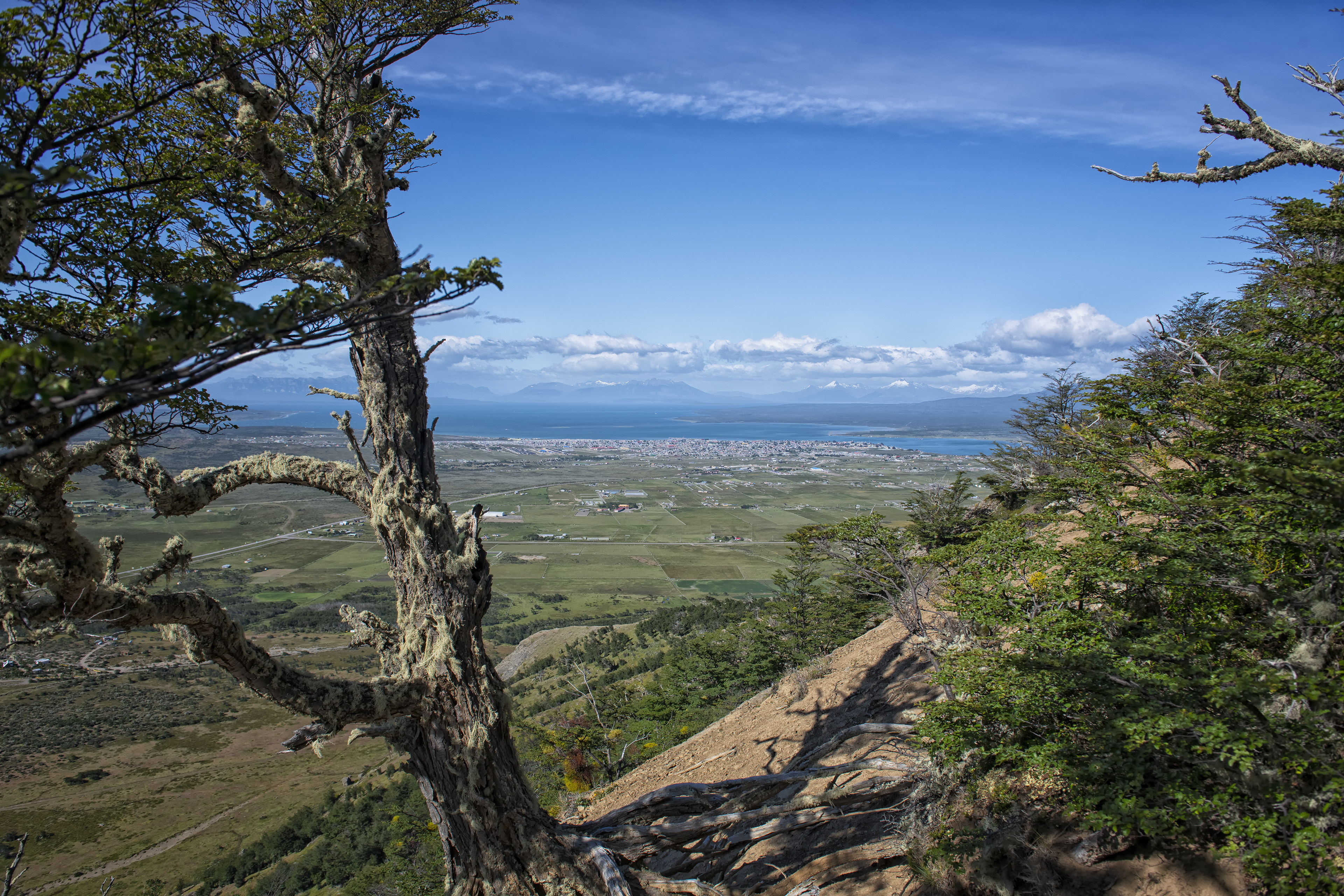 Cerro Dorotea Hike