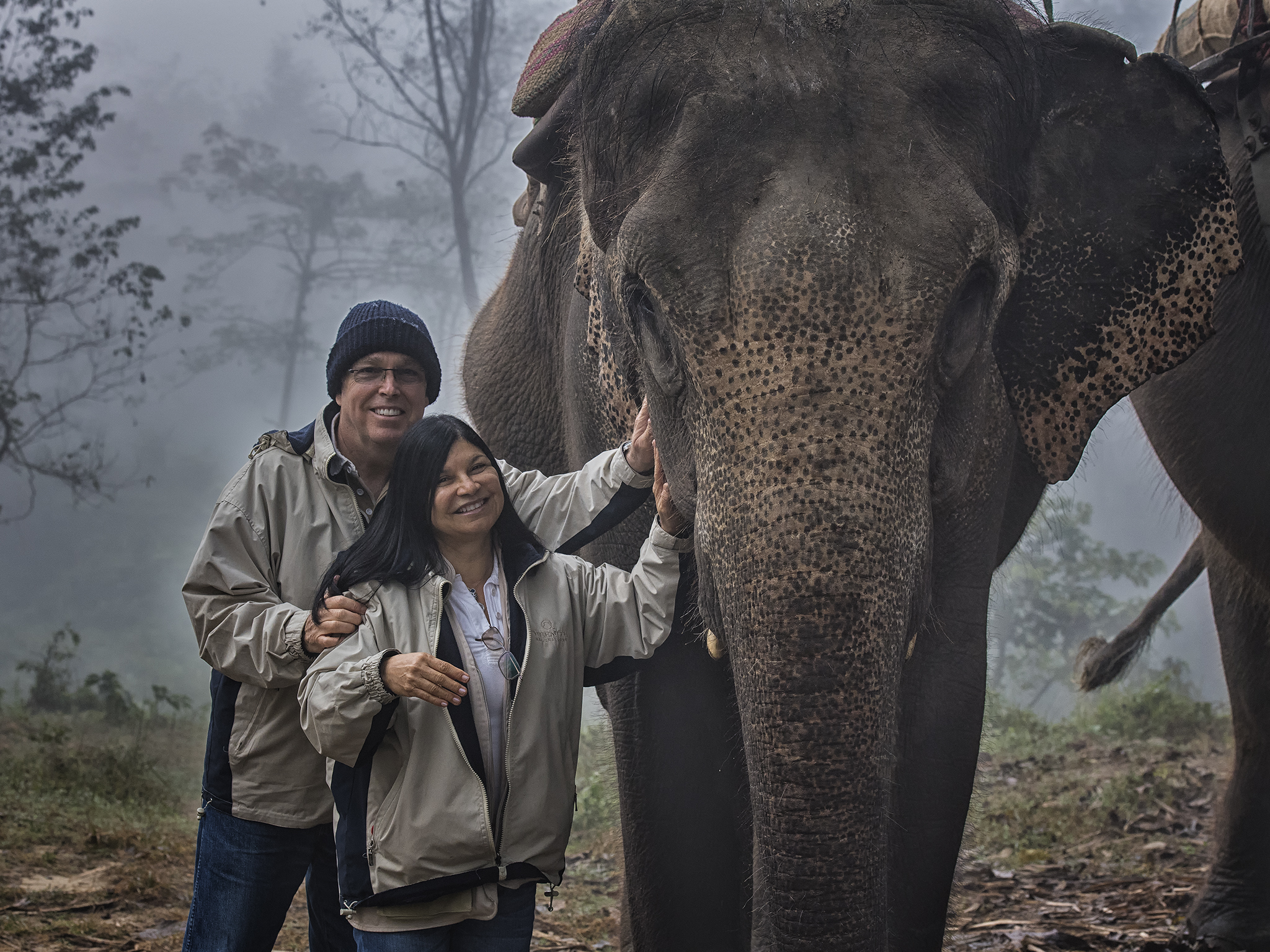 Gentle Giants