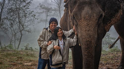 Gentle Giants