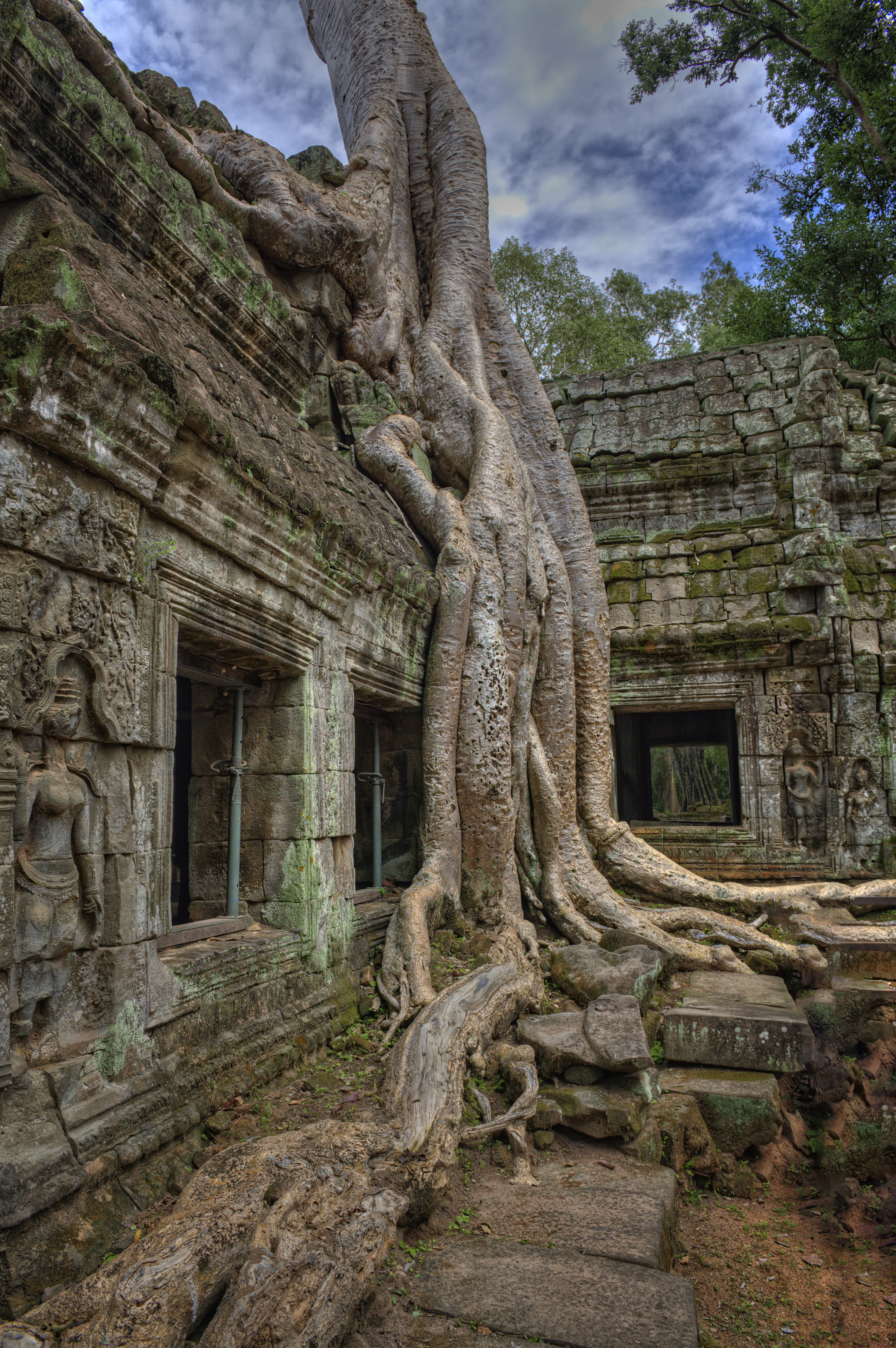 Tomb Raider or Ta Prohm Temple