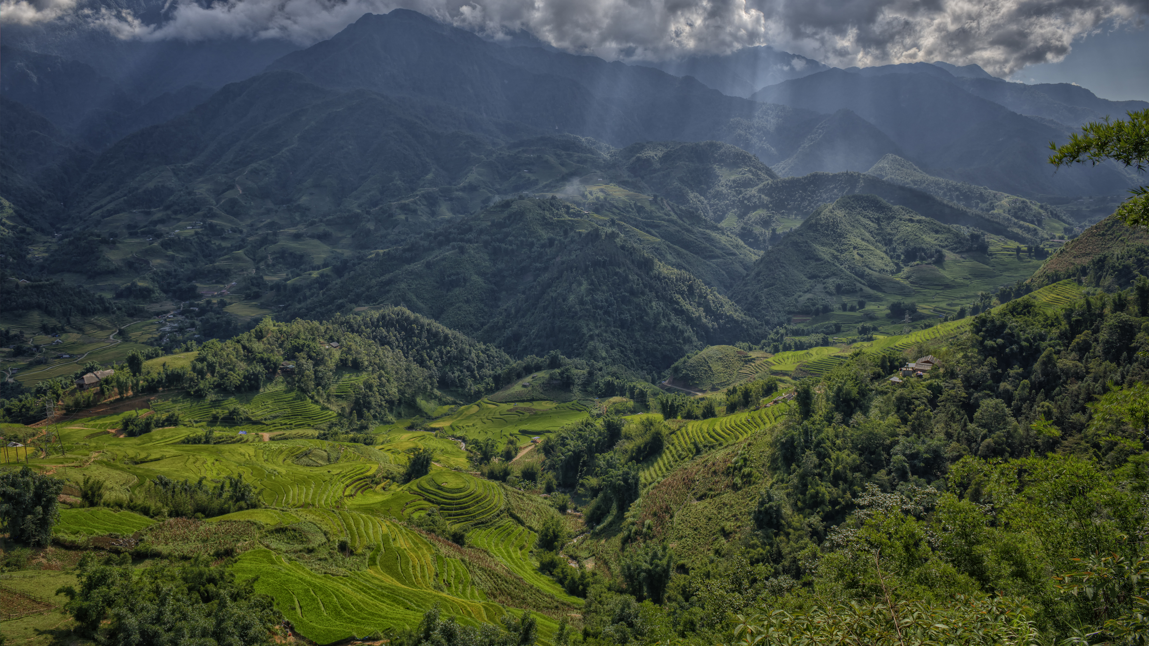 Lao Cai Rice Terraces