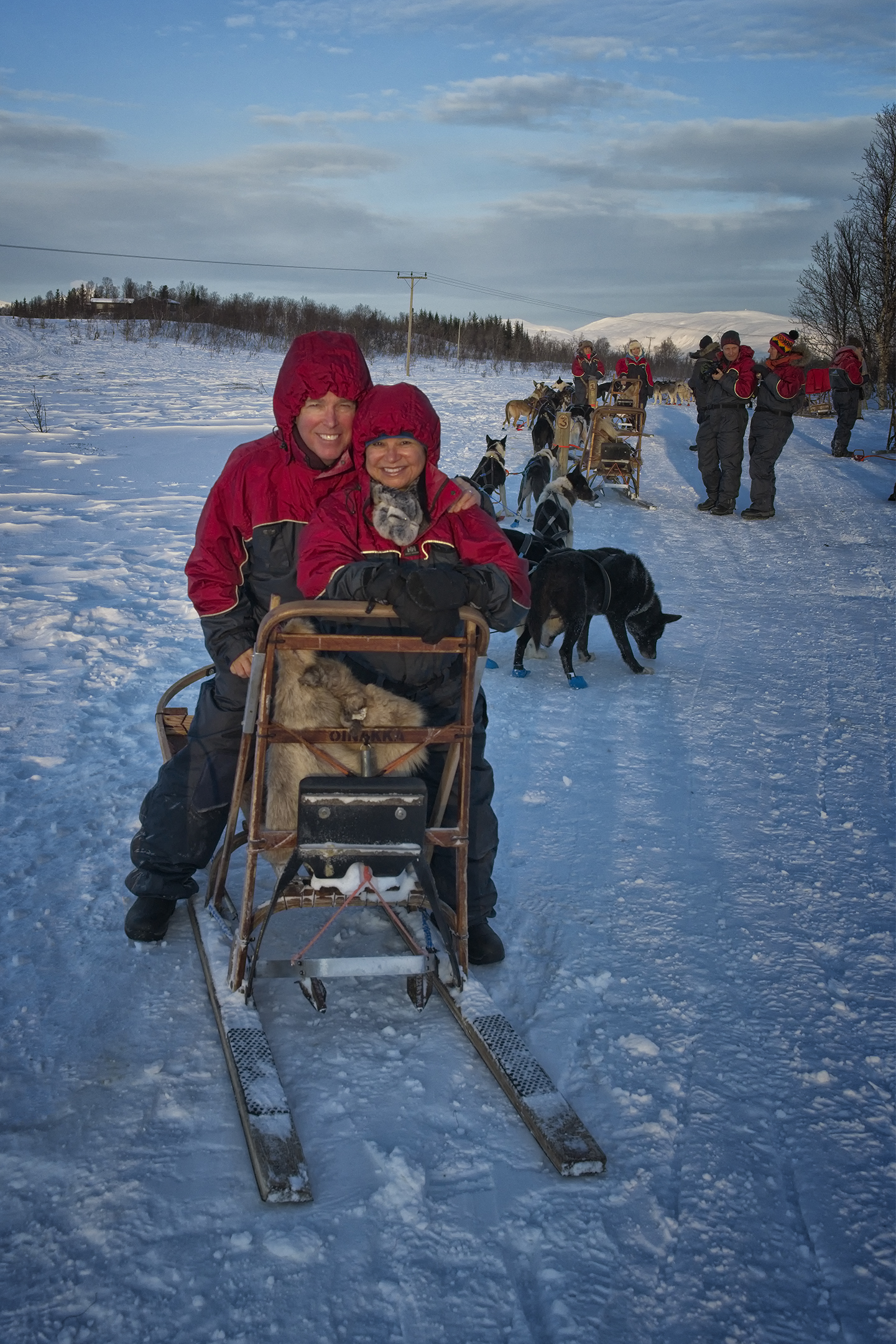 Dogsledding with Ninja Borealis