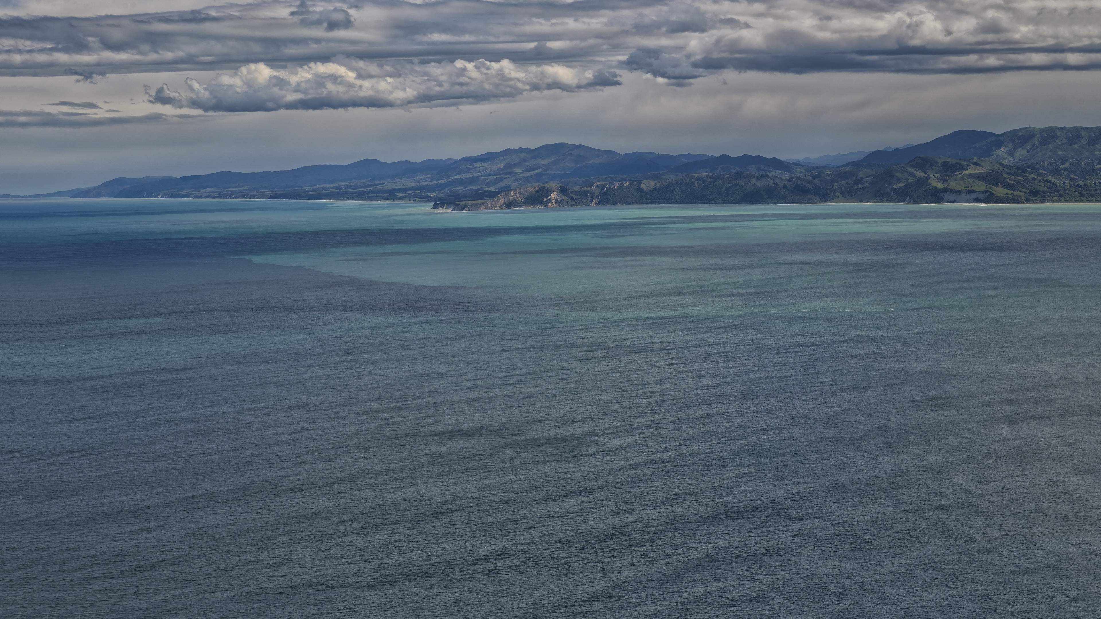 Kaikoura Looking for Whales