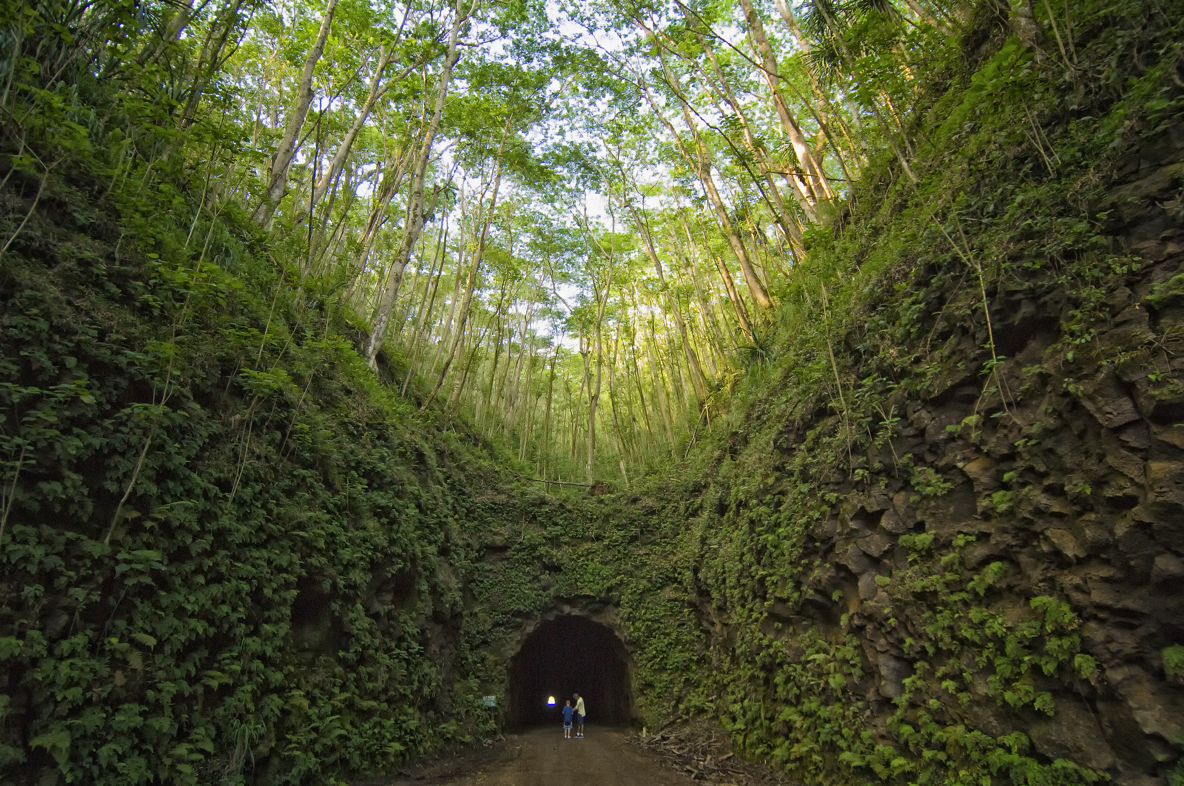 Tunnel Drive on Kauai
