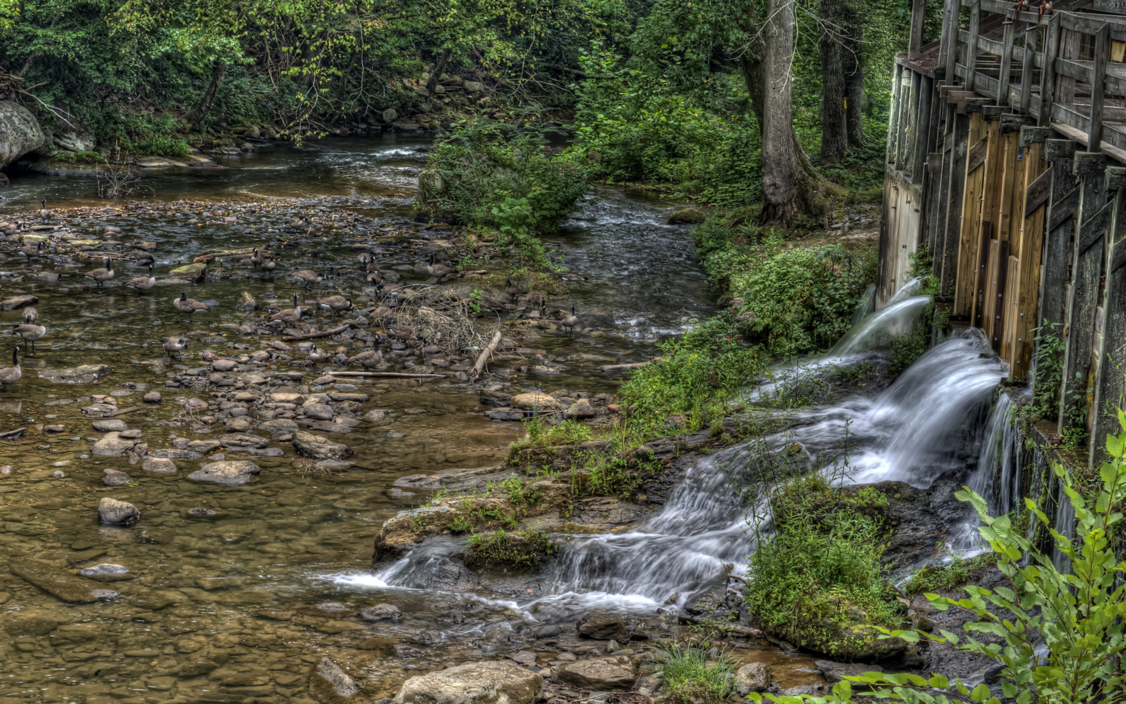 Hydro Power to Grind Corn