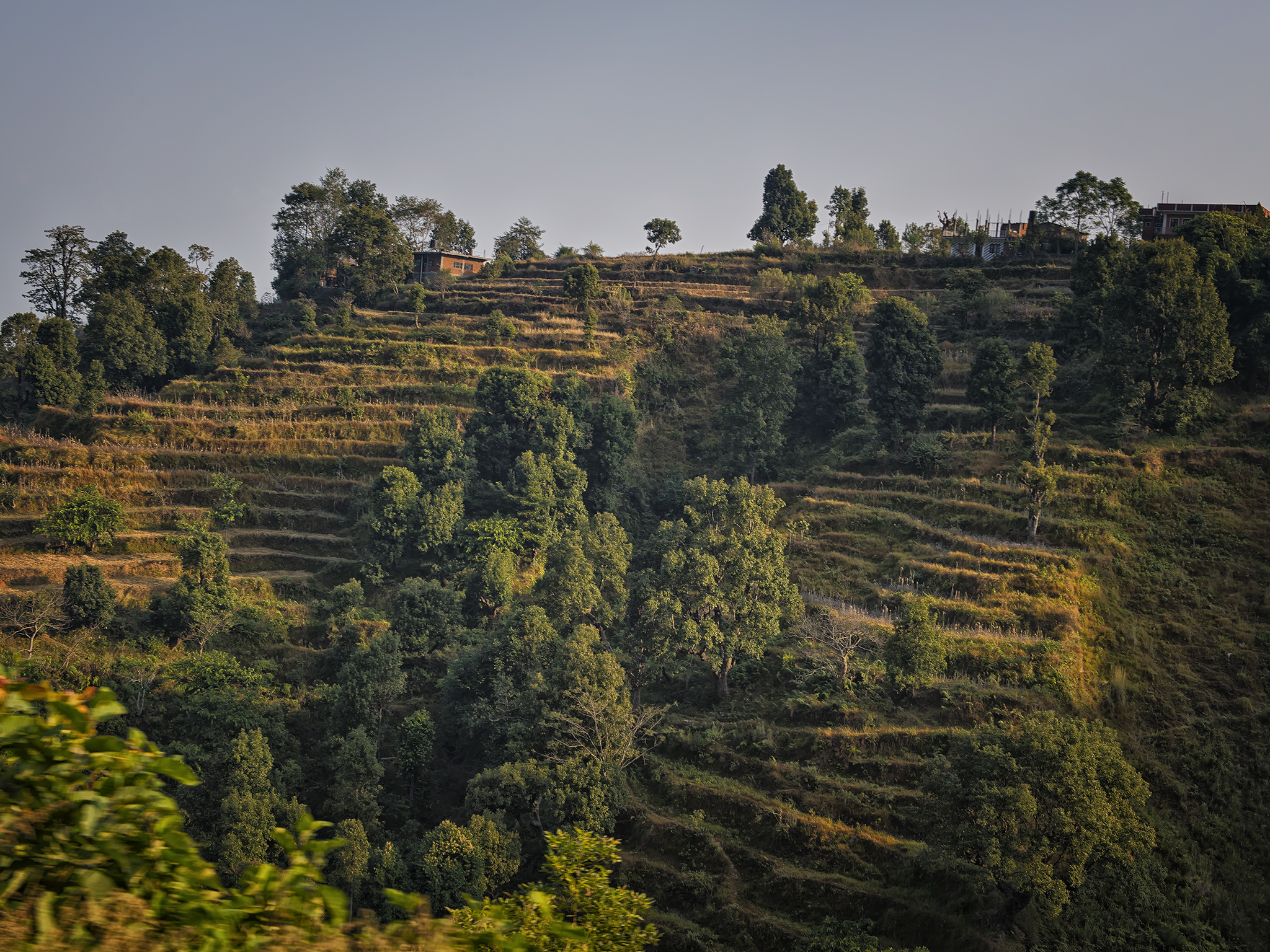 Leaving Bandipur