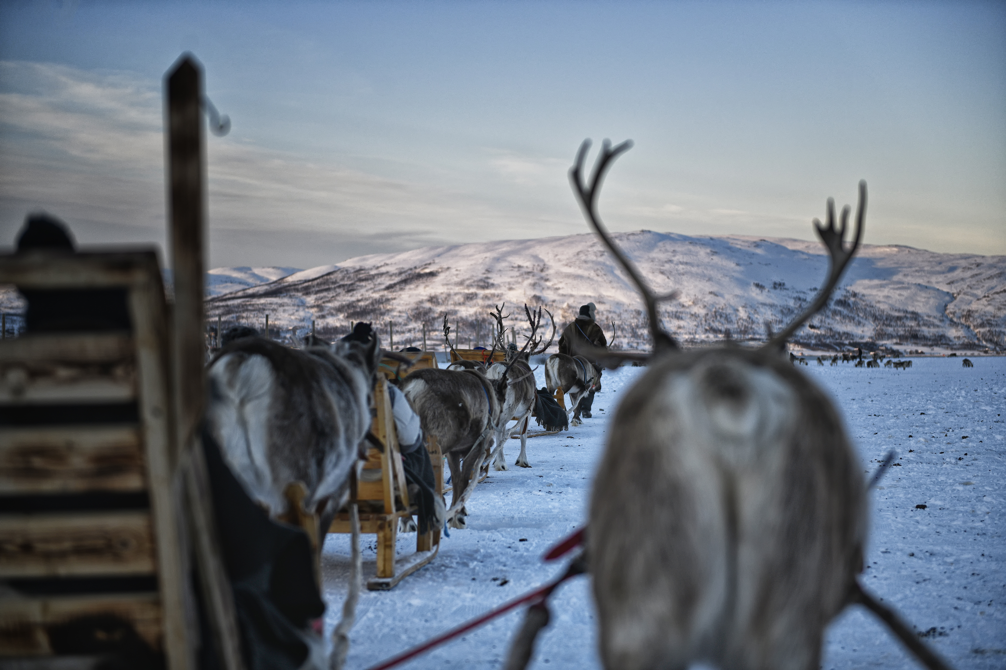 View from the Sleigh