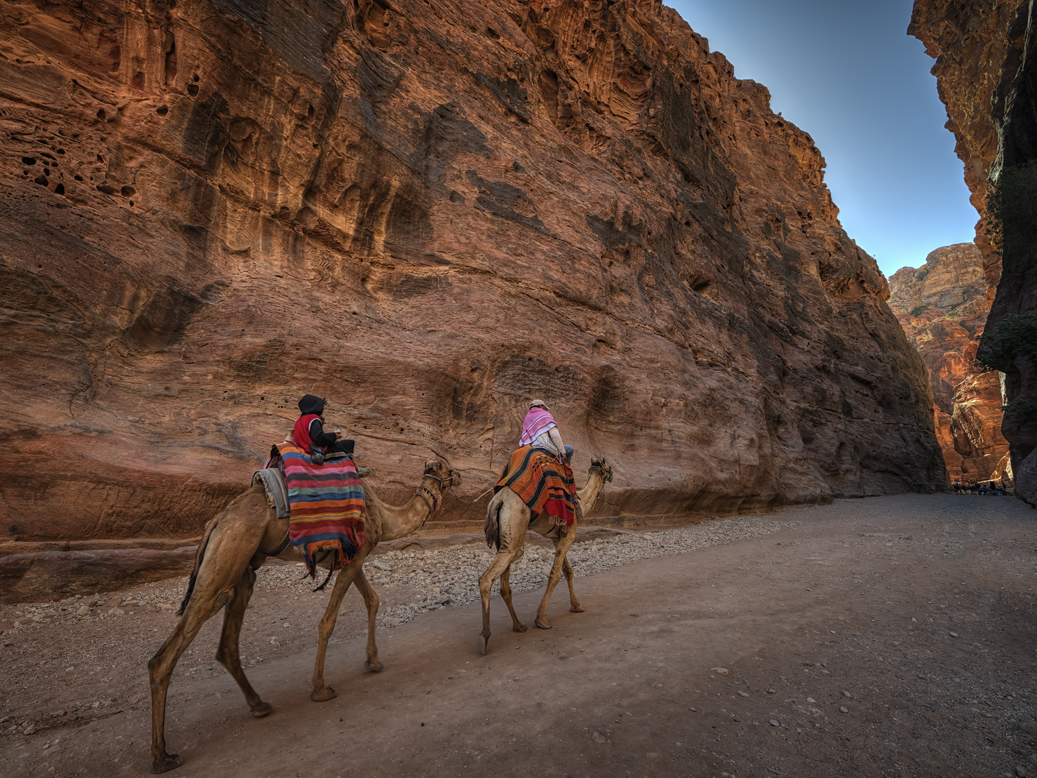 Camel Ride in Petra